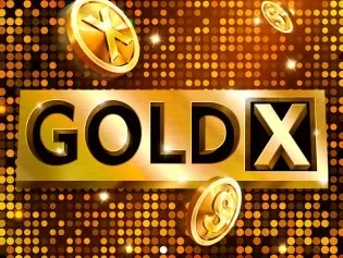 Gold X game cover