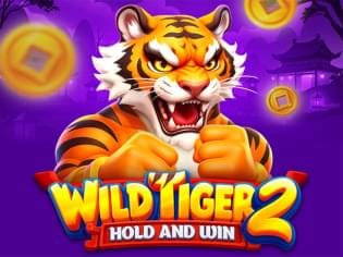 Wild Tiger 2 game cover