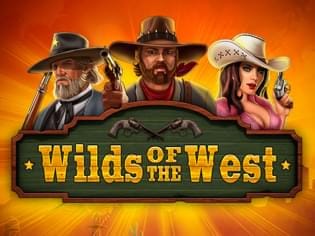 Wilds of the West game cover